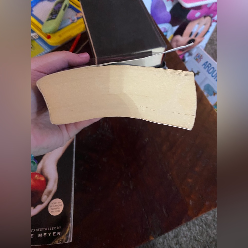 Twilight Saga Book bundle (book 2-3) EUC - Picture 10 of 11